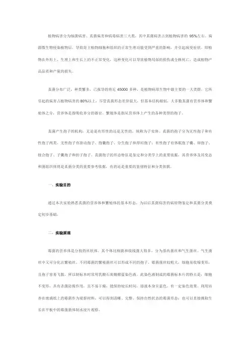 植物病原真菌的形态观察