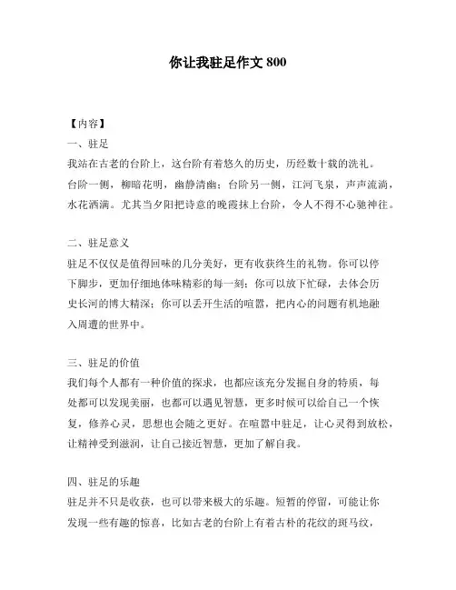 你让我驻足作文800