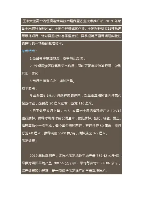 玉米大垄栽培浅埋滴灌技术