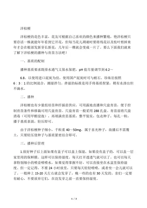 洋桔梗的播种与育苗方法介绍