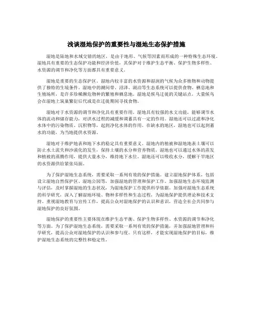 浅谈湿地保护的重要性与湿地生态保护措施