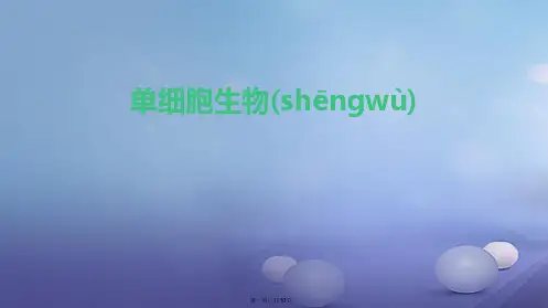 七年级生物上册2.2.4单细胞生物课件新版新人教版