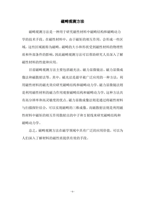 磁畴观测方法