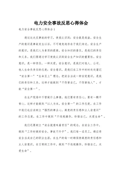 电力安全事故反思心得体会