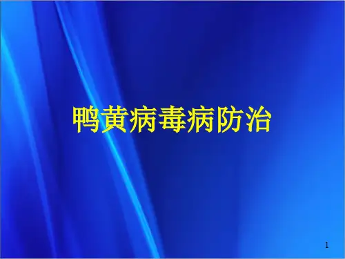 鸭黄病毒防治