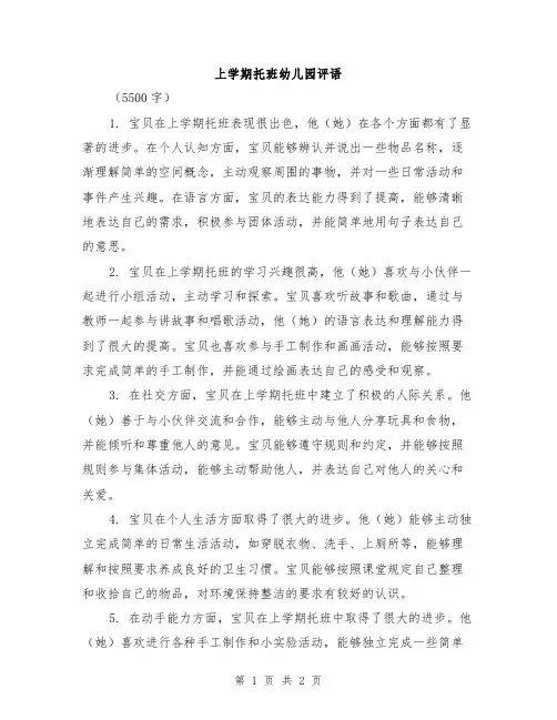 上学期托班幼儿园评语