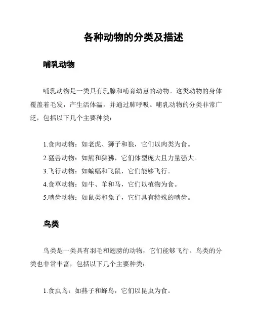 各种动物的分类及描述