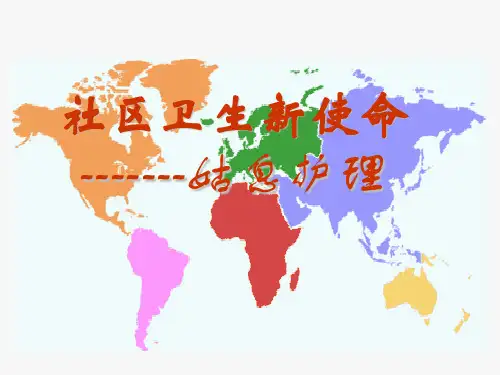 姑息护理