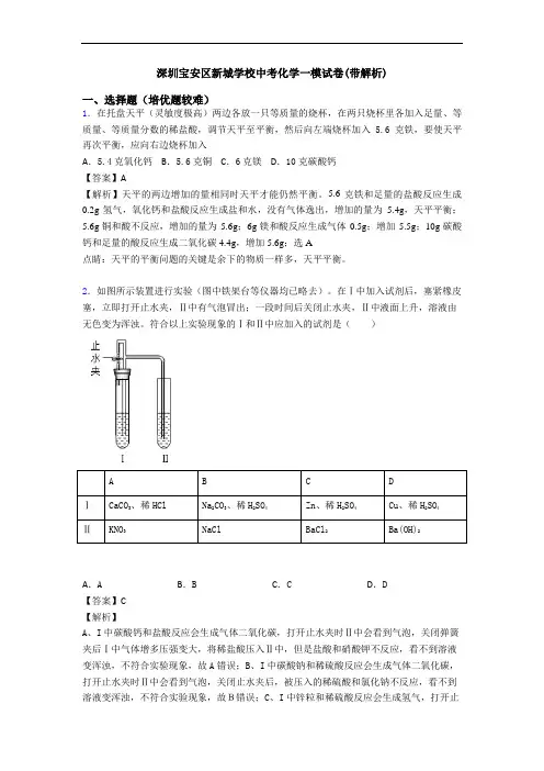 深圳宝安区新城学校中考化学一模试卷(带解析)