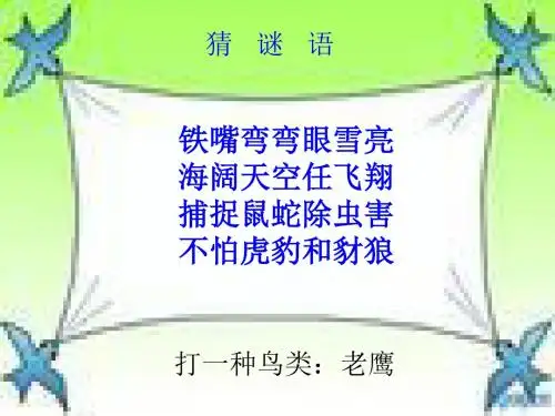 苏教小学语文二年级上册《8 小鹰学飞》PPT课件_1