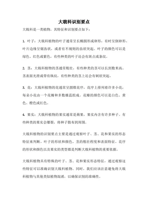 大戟科识别要点