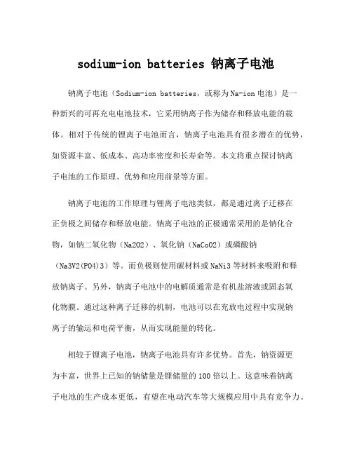 sodium-ion batteries 钠离子电池