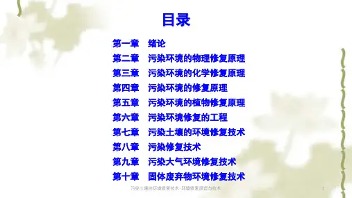 污染土壤的环境修复技术-环境修复原理与技术ppt课件