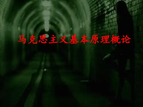 马原第六章PPT课件