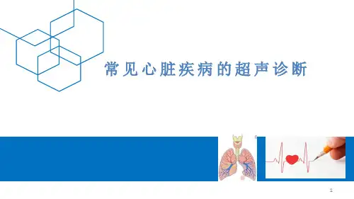 常见心脏疾病的超声诊断PPT课件