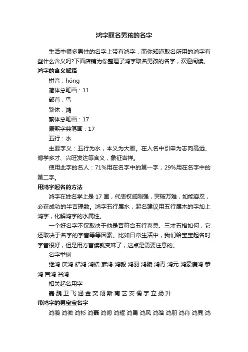 鸿字取名男孩的名字