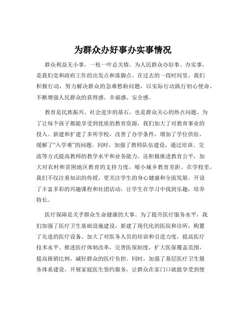 为群众办好事办实事情况