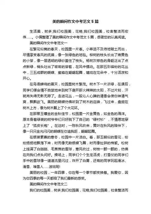 美的瞬间作文中考范文5篇