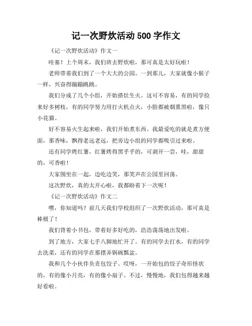 记一次野炊活动500字作文