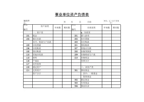 事业单位资产负债表Excel 