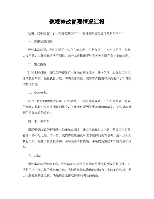 巡视整改简要情况汇报