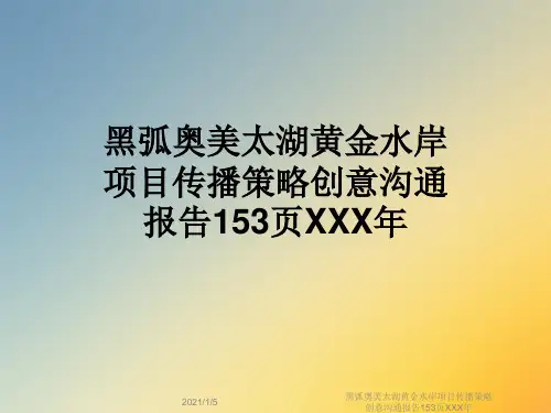 黑弧奥美太湖黄金水岸项目传播策略创意沟通报告153页XXX年