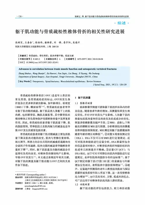 躯干肌功能与骨质疏松性椎体骨折的相关性研究进展