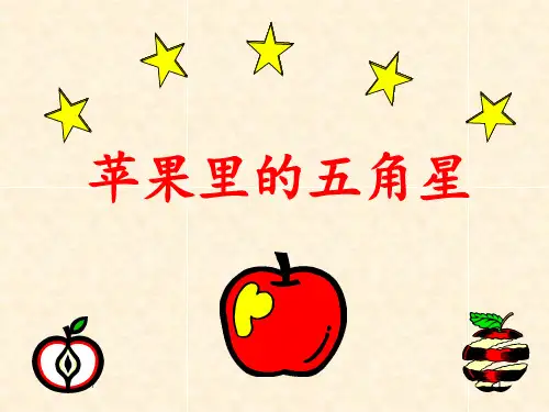 《苹果里的五角星》 ppt课件