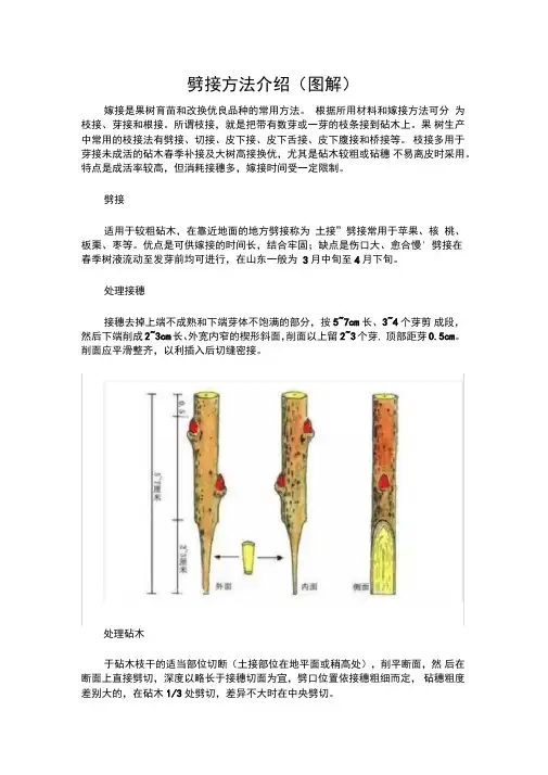 劈接方法介绍