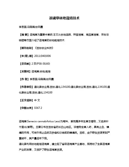 返魂草林地栽培技术