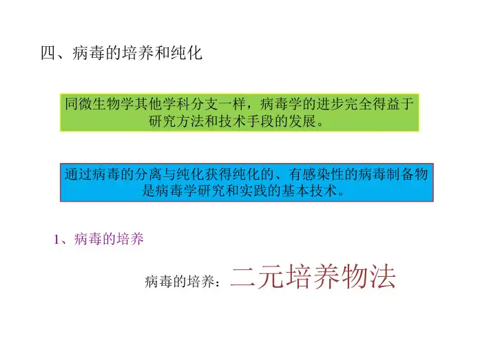 5.病毒的培养与纯化
