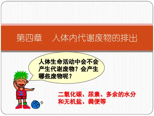第一节尿液的形成和排出课件(济南版)