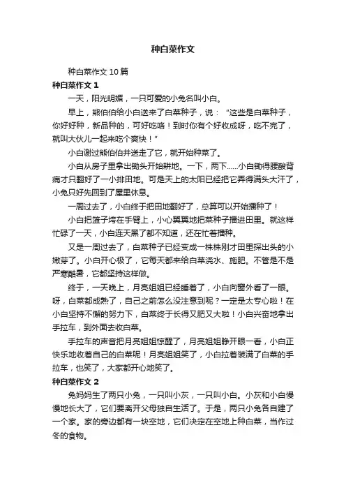 种白菜作文10篇