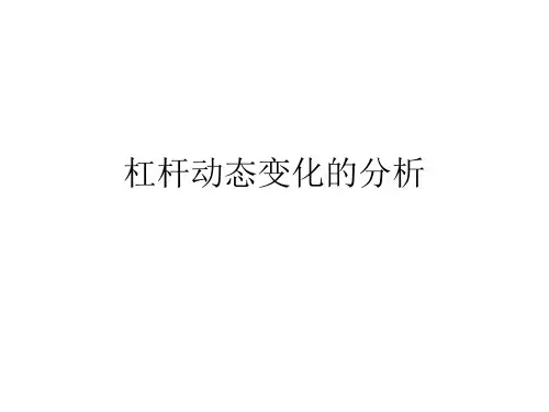 杠杆动态变化的分析典型例题