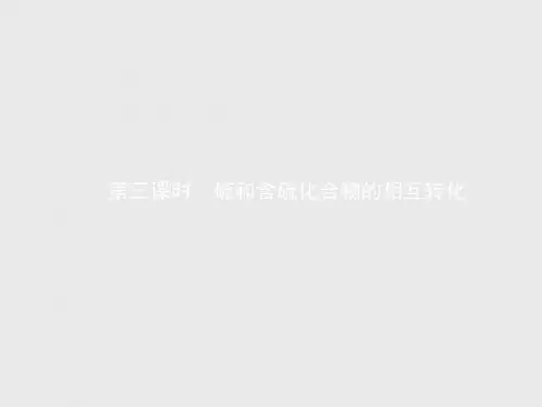 高一化学苏教版必修1(浙江专用)课件：专题4 硫、氮和