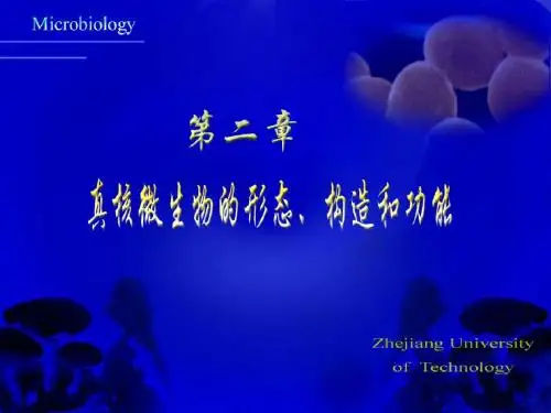 微生物学课件第二章 真核微生物的形态、构造和功能  第三节 丝状真菌——霉菌