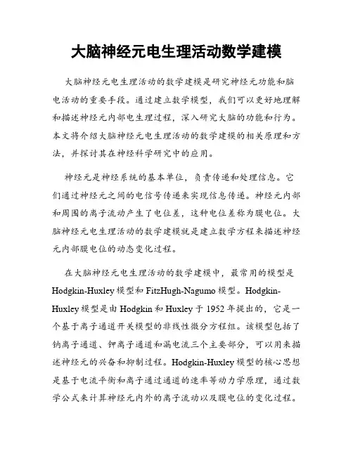 大脑神经元电生理活动数学建模