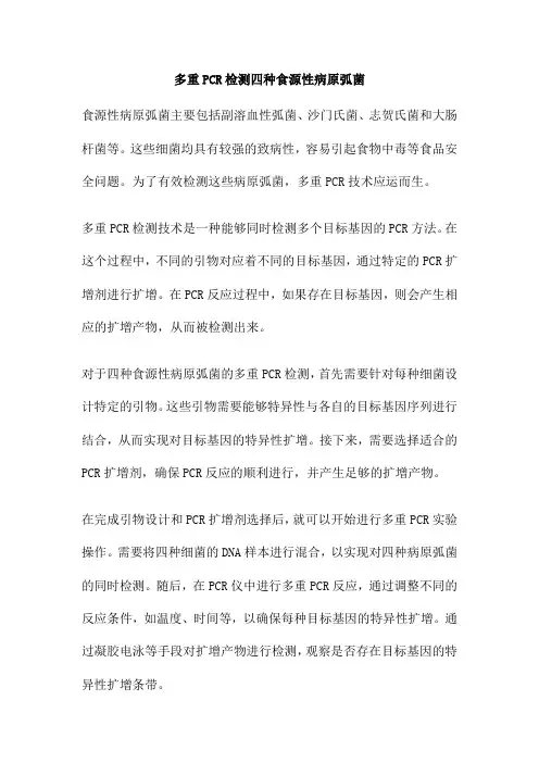 多重PCR检测四种食源性病原弧菌