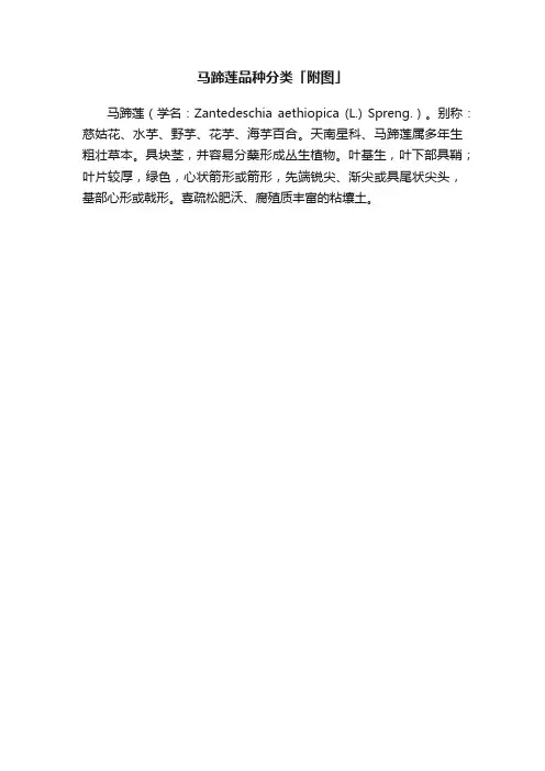 马蹄莲品种分类「附图」