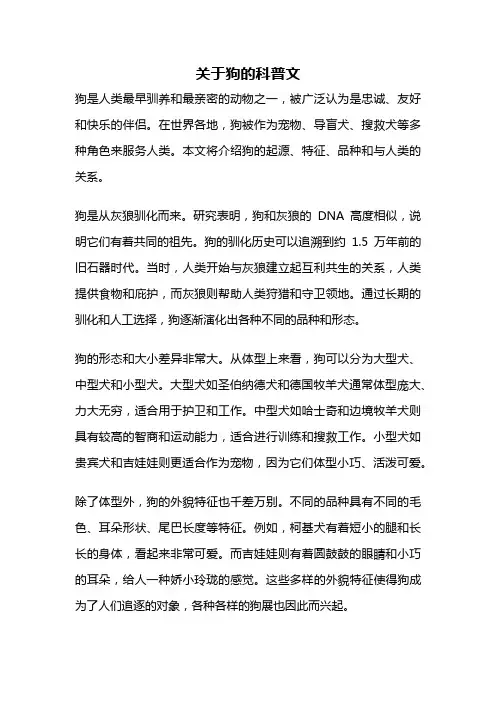 关于狗的科普文
