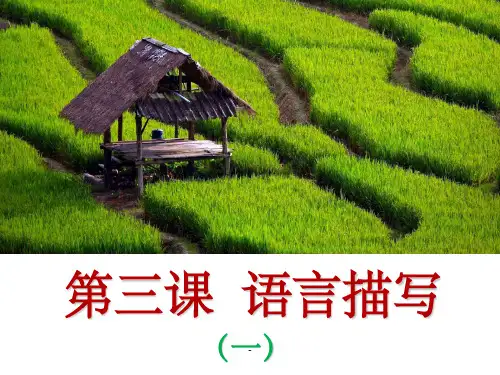 语言描写提示语(一)ppt课件