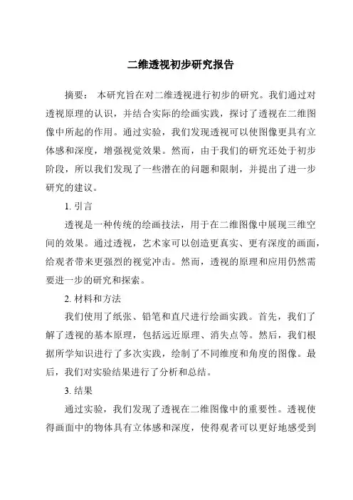 二维透视初步研究报告