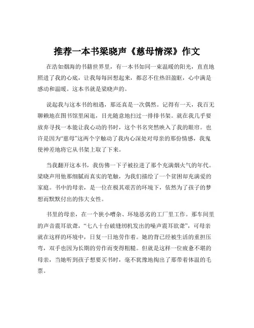 推荐一本书梁晓声《慈母情深》作文