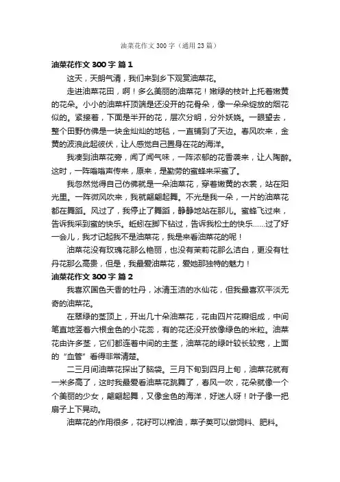 油菜花作文300字（通用23篇）
