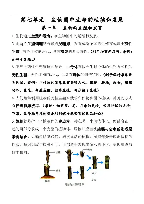 人教版初中生物八年级下册复习提纲