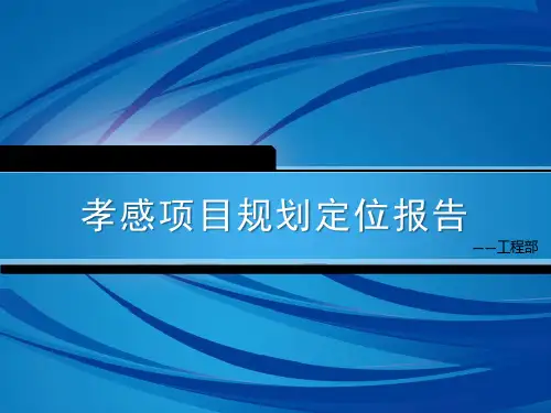 孝感项目规划定位报告