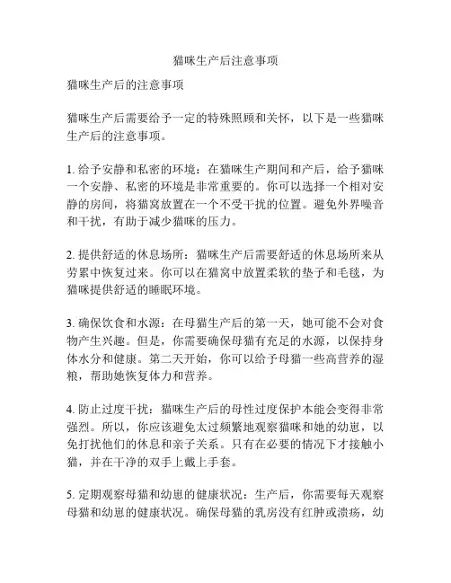 猫咪生产后注意事项