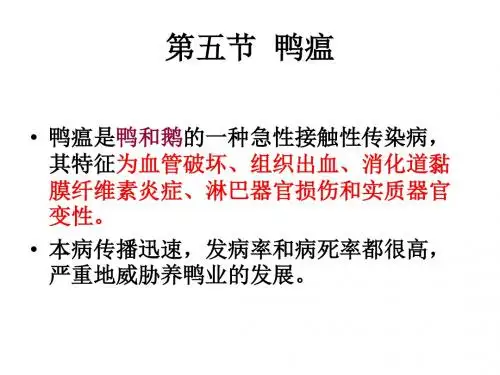 十、鸭瘟(Duck Plague)