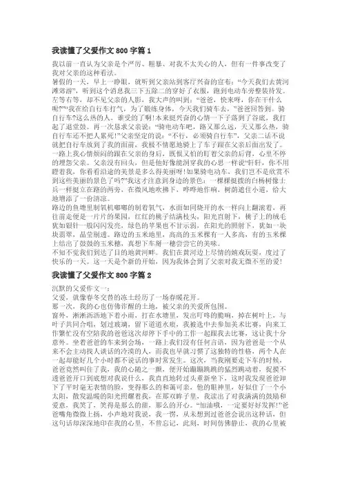 我终于懂得父爱作文800字优秀作文