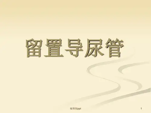 导尿管的护理